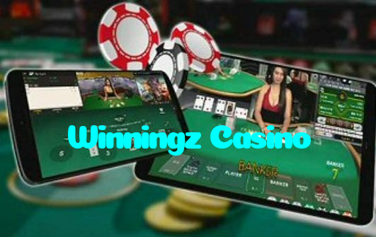available types of Winningz Casino bet including pre-match live express and system bets