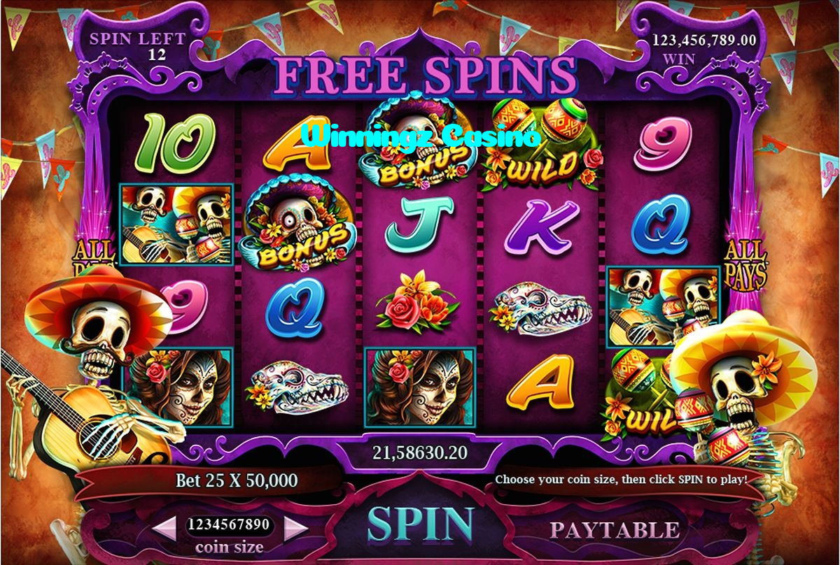 available types of Winningz Casino bet including pre-match live express and system bets